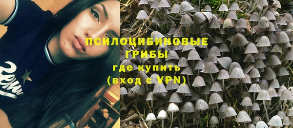 дмт Белоозёрский